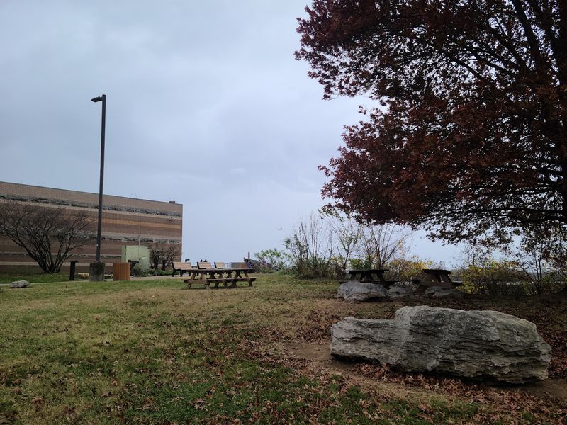 Picnic Areas and Family-Friendly Spaces