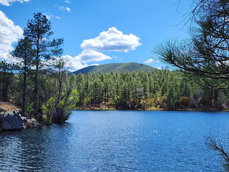 Picnic Areas and Relaxing By The Water
