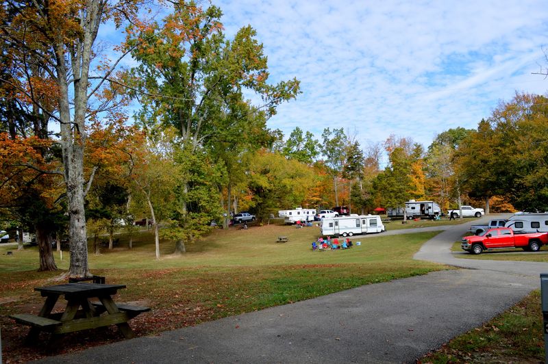 Picnic Shelters and Family Gathering Spots Throughout the Park