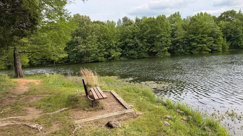 Picnic Spots And Family Fun