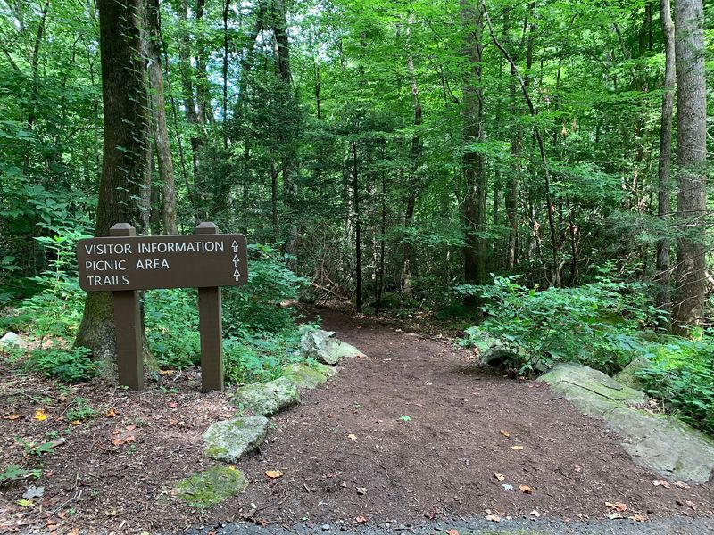 Picnic Spots, Clean Restrooms, and the Park Store Picnic Spots, Clean Restrooms, and the Park Store