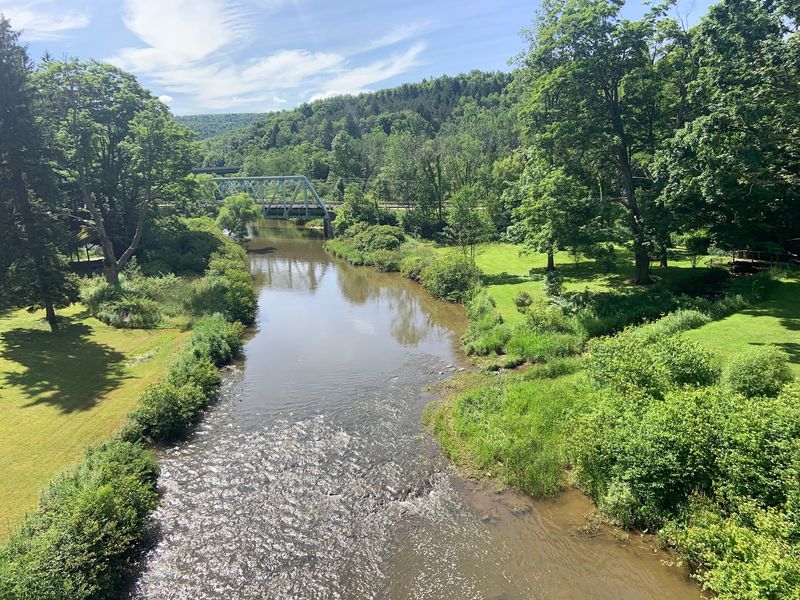 Picnic Spots So Peaceful You Will Want to Stay All Day