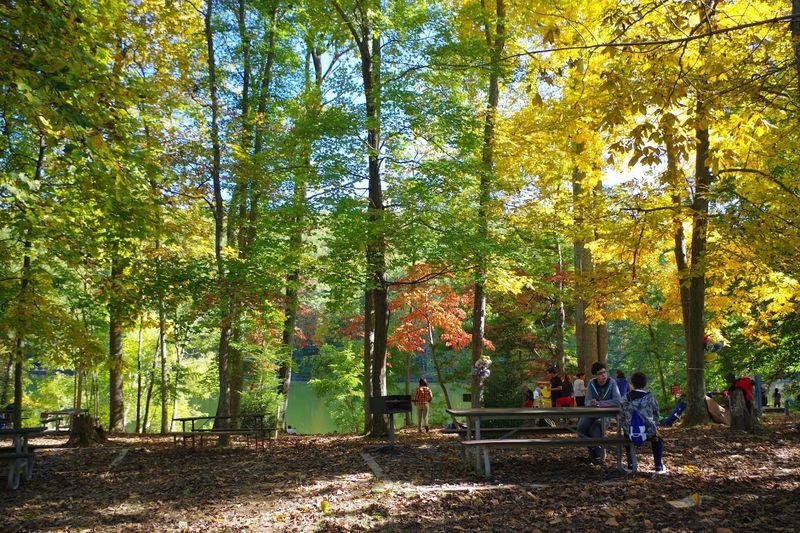 Picnic Spots and Family-Friendly Corners