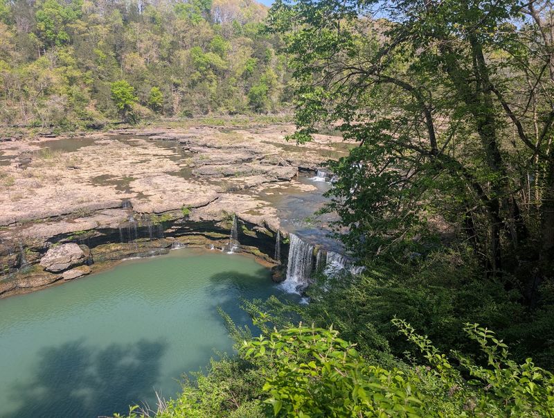 Picnic Spots and Family-Friendly Corners Picnic Spots and Family-Friendly Corners