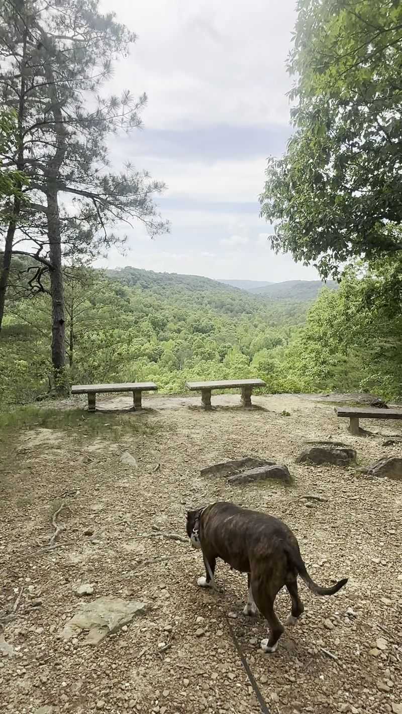 Picnic Spots and Peaceful Corners Picnic Spots and Peaceful Corners
