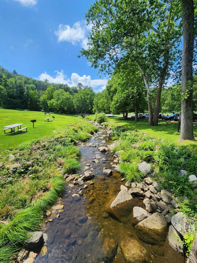 Picnic Tables, Grills, And A Wide Green Field