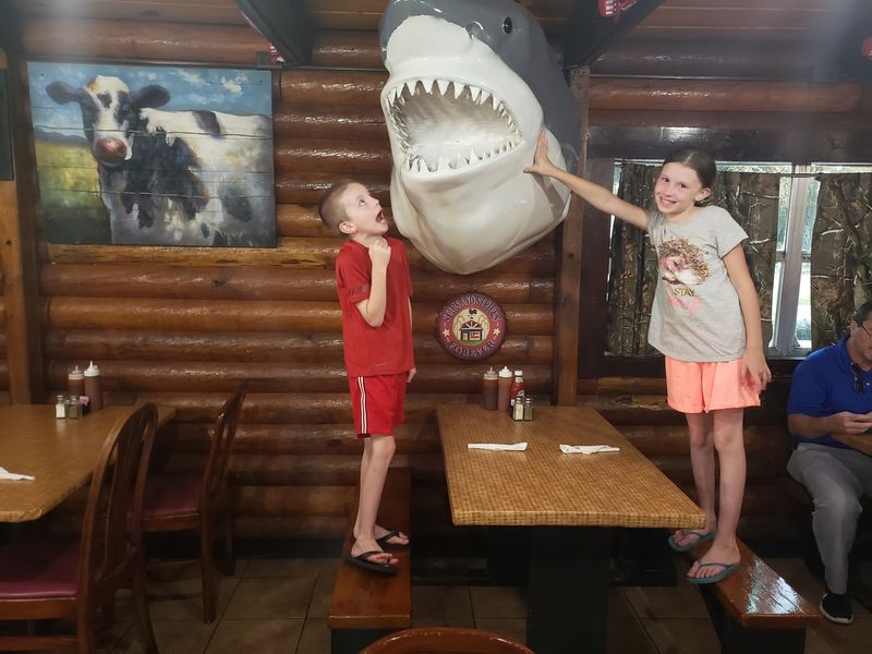 Picnic Tables and Log Walls
