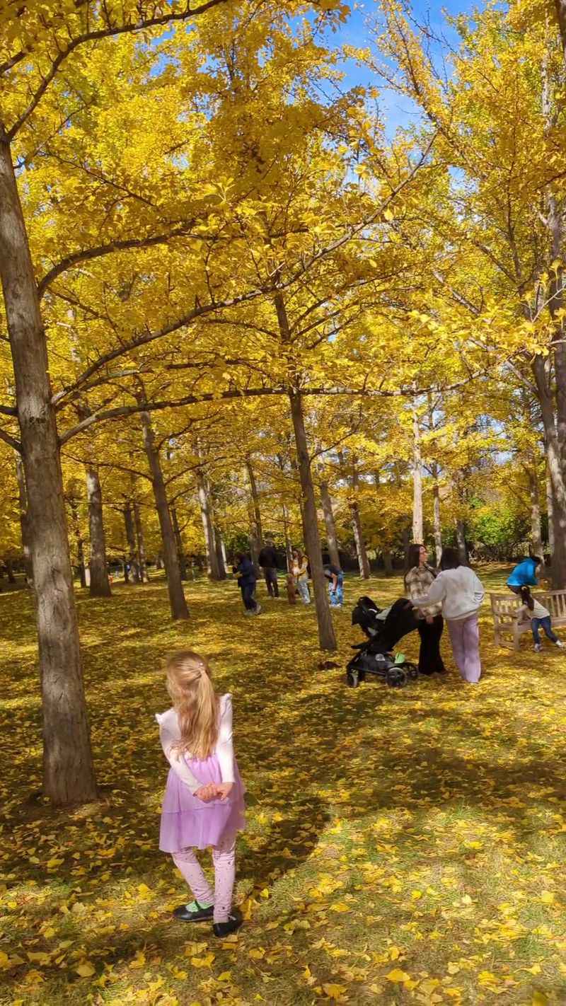 Picnics, Families, and Dogs on Leashes
