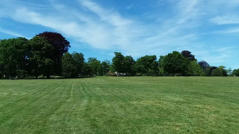 Picnics, Grills, and Family Days