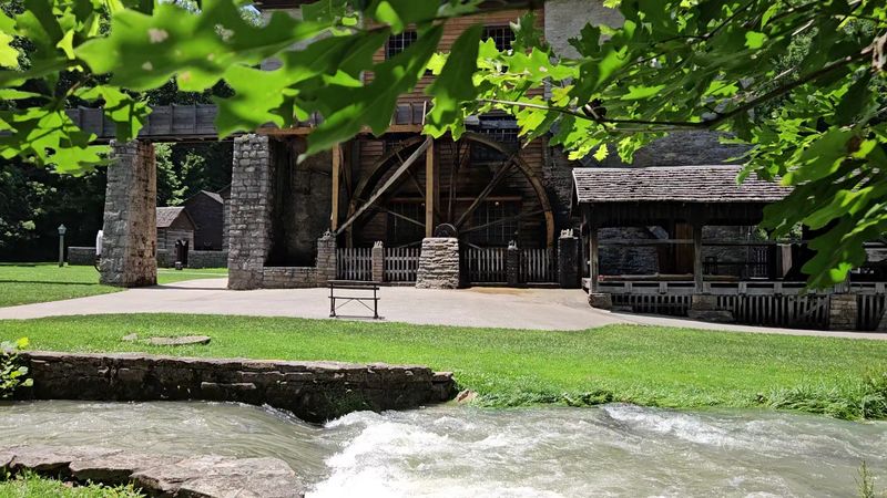 Picnics, Grills, and a Concession Stand