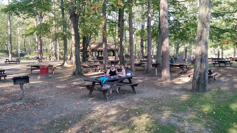 Picnics, Pavilions, and Family Gatherings