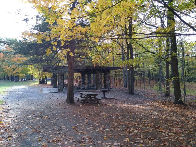 Picnics, Pavilions, and Grill Time