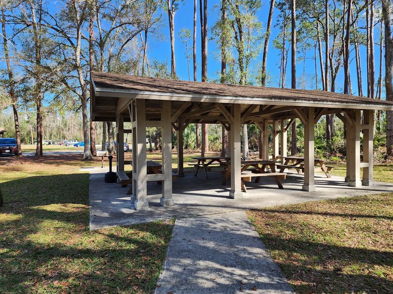 Picnics, Playgrounds And Family Time