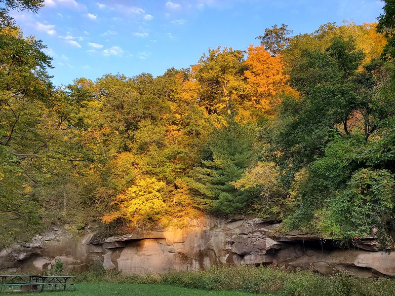 Picnics, Wildlife, and Family Fun