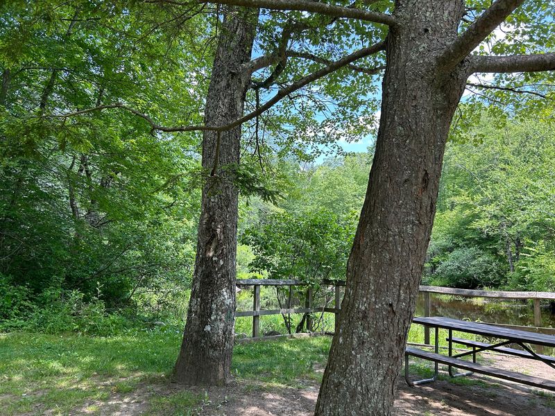 Picnics and Peaceful Corners Picnics and Peaceful Corners