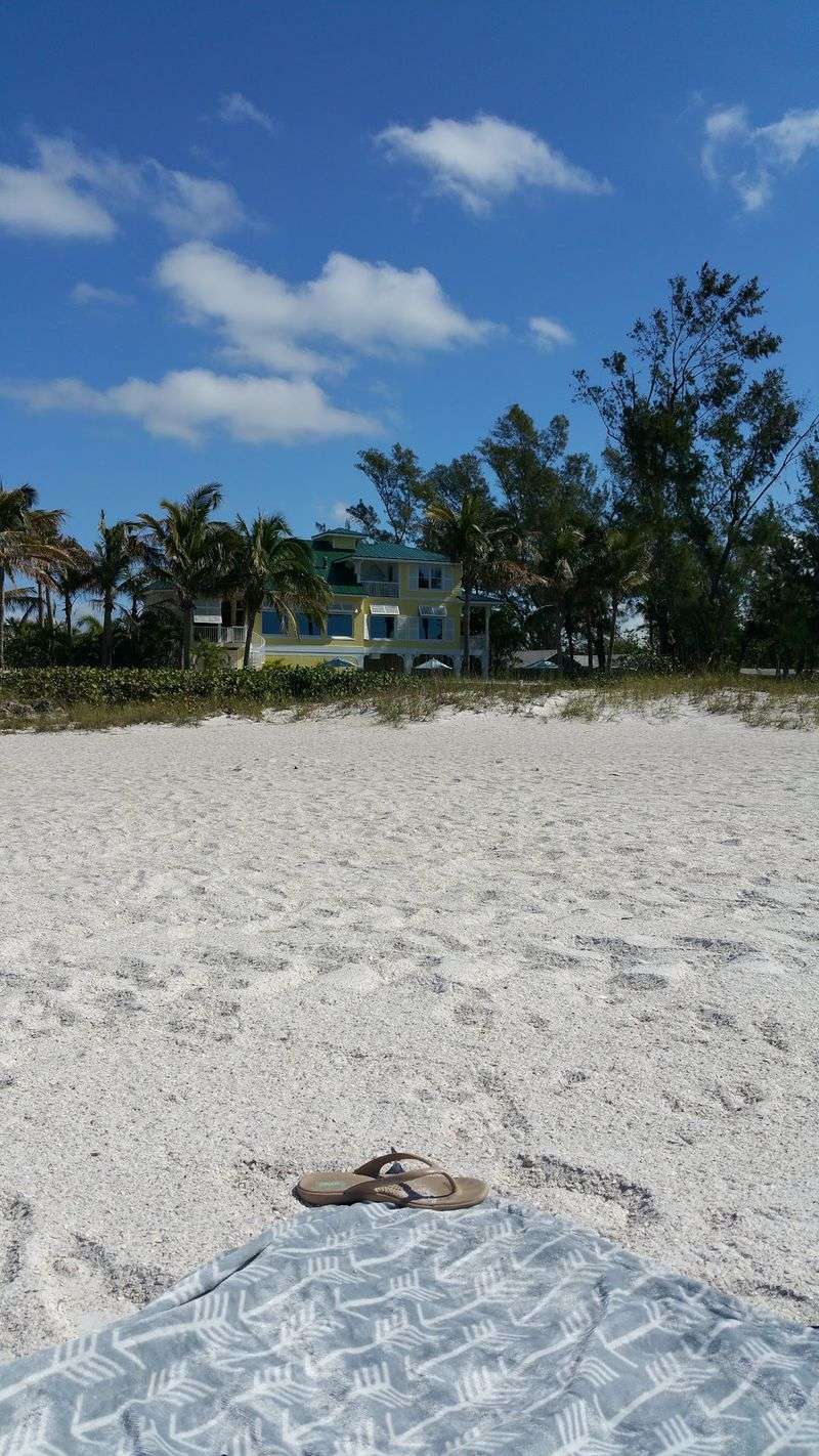 Pine Avenue: The Charming Heart of the Island Pine Avenue: The Charming Heart of the Island