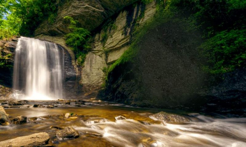Pisgah National Forest, Brevard