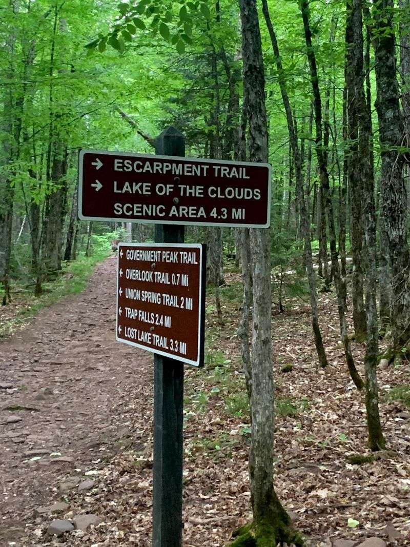 Planning Your Visit: Hours, Fees, And Getting There