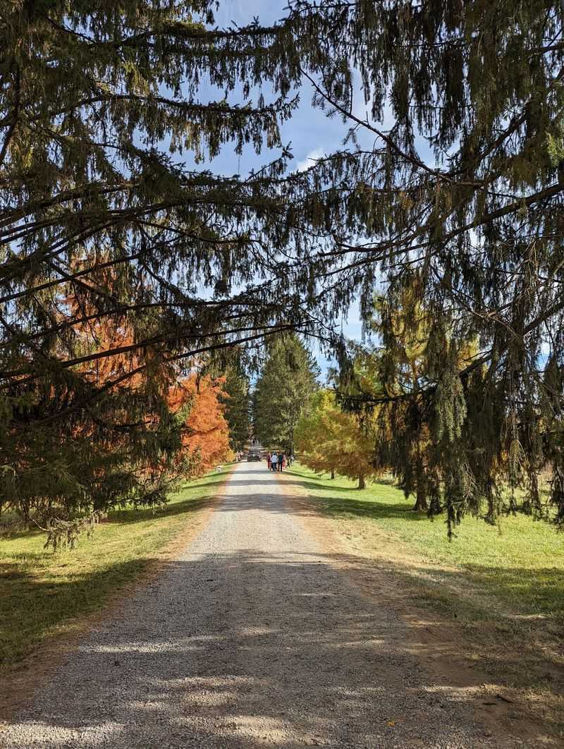 Planning Your Visit and What to Expect