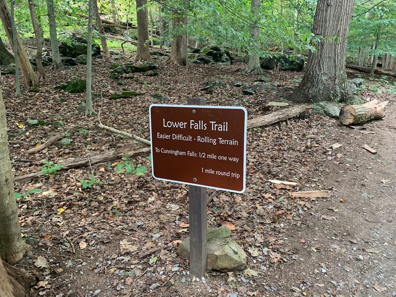 Planning Your Visit and the Verdict