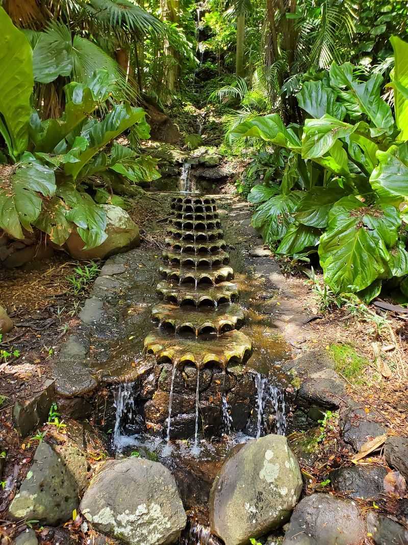 Plants, Waterfalls, and Leaves Bigger Than You Plants, Waterfalls, and Leaves Bigger Than You
