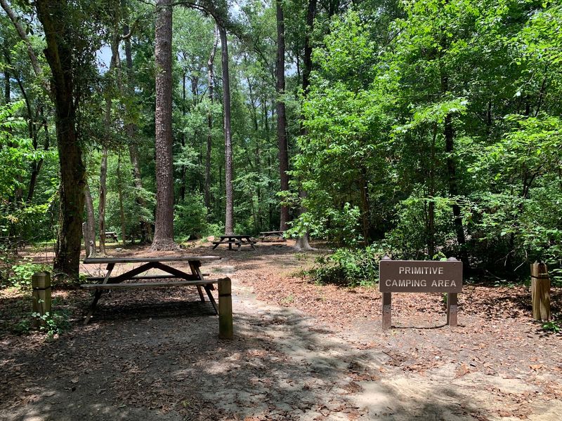 Playground, Picnic Spots, and Family Fun Playground, Picnic Spots, and Family Fun