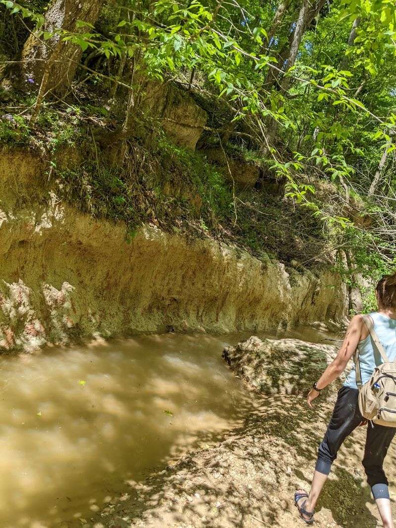 Playing in the Creek Waters Playing in the Creek Waters