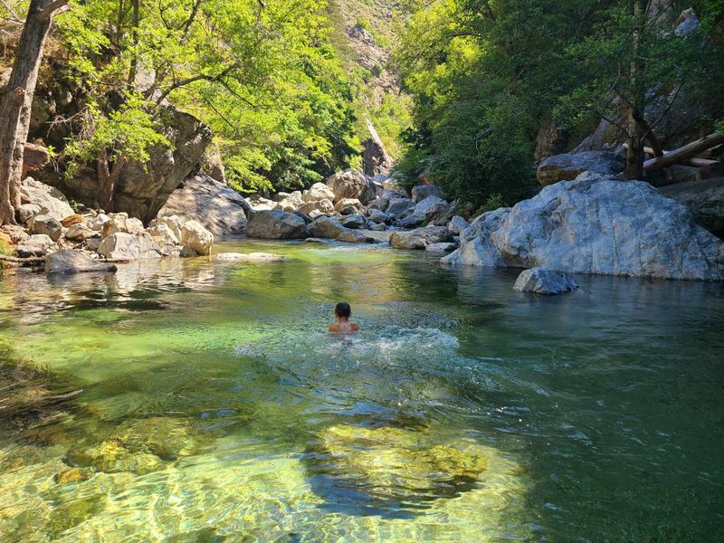 Pools for Every Kind of Swimmer