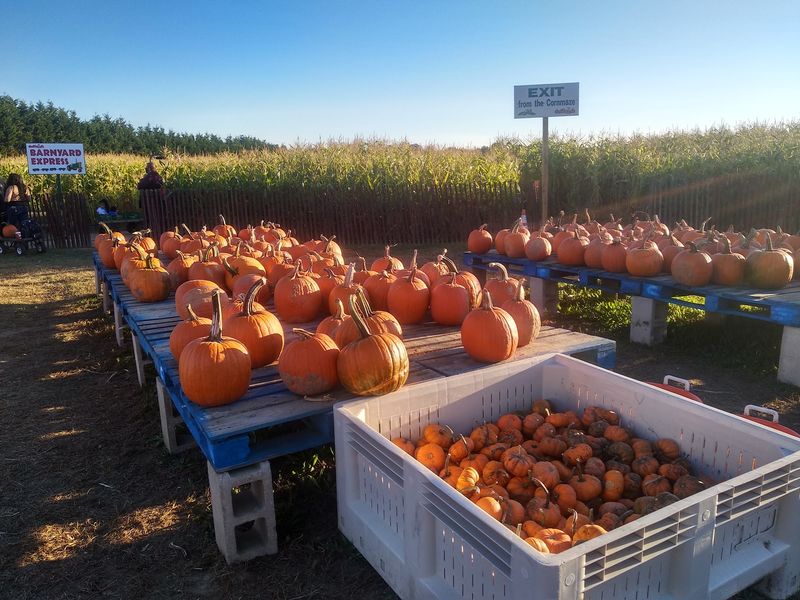 Preserved Farmland With Deep Local Roots