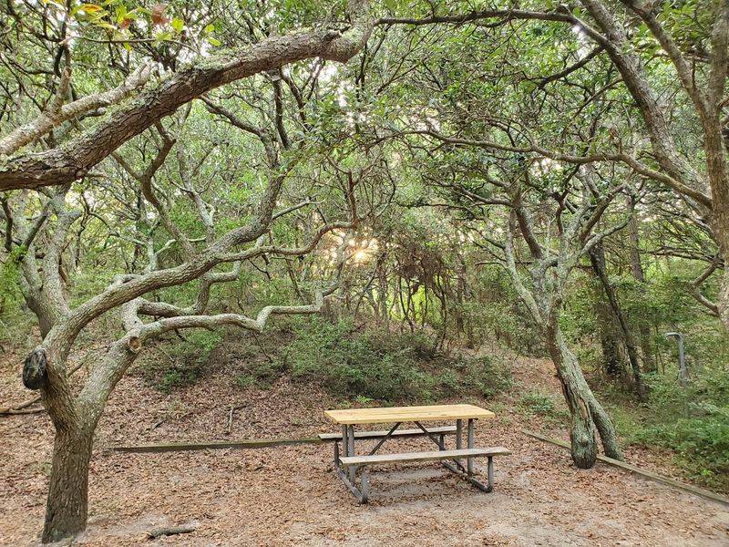 Primitive Camping Under Open Sky
