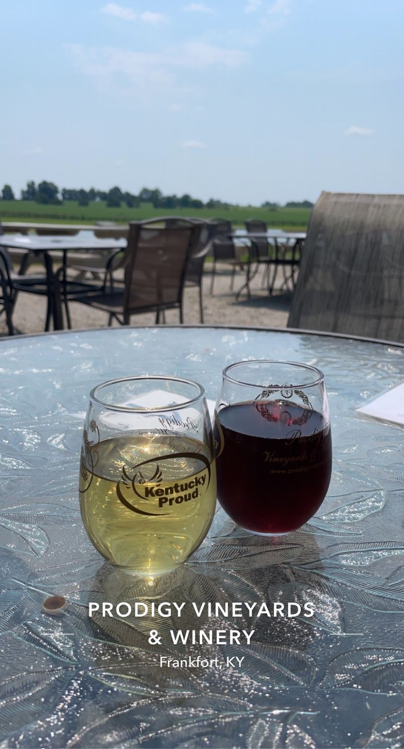 Prodigy Vineyards and Winery, Frankfort, Kentucky