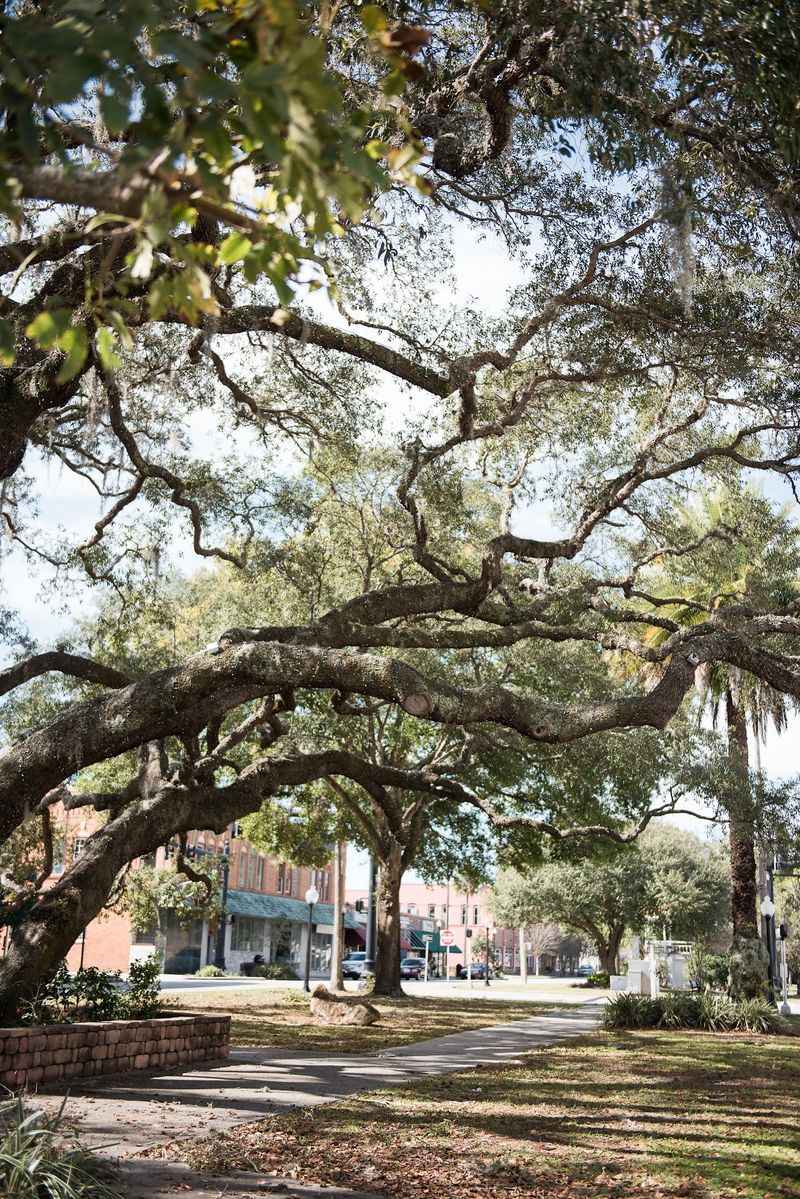 Proximity to Sebring Adds Convenience Without Big-City Costs