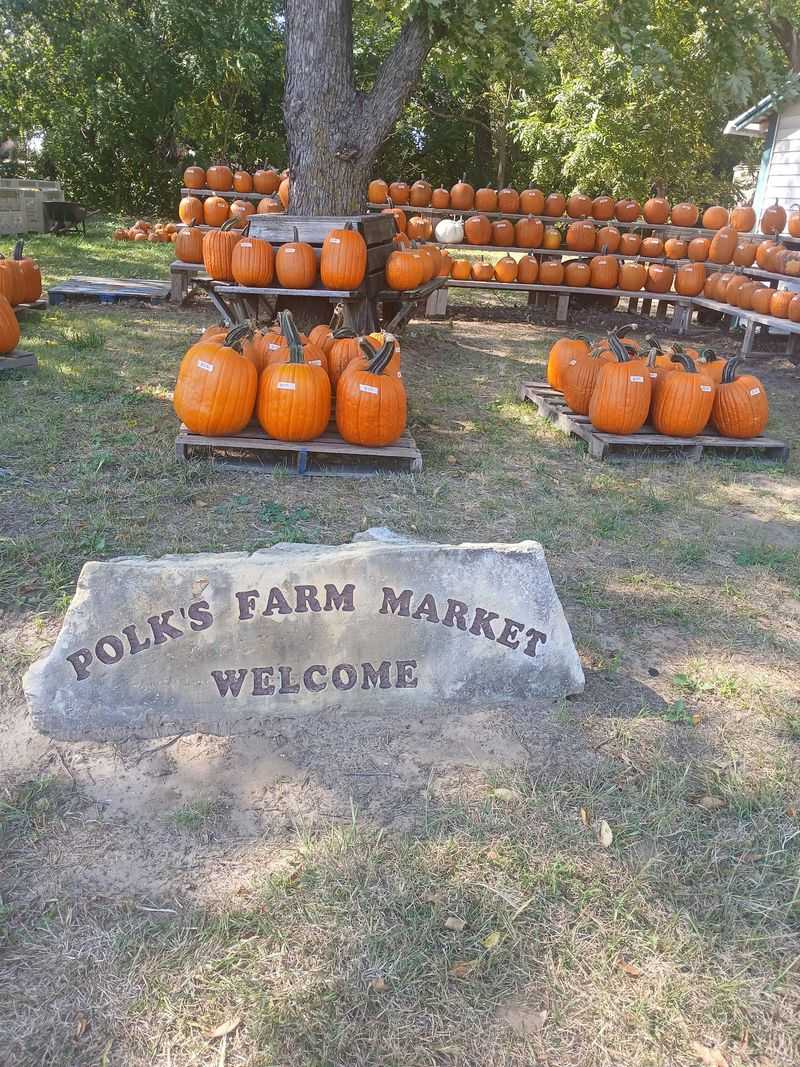 Pumpkins, Gourds, And Fall Favorites Pumpkins, Gourds, And Fall Favorites