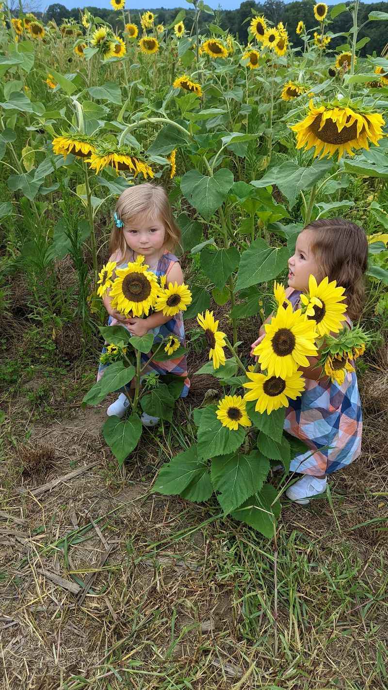 Pumpkins and Pick-Your-Own Blooms
