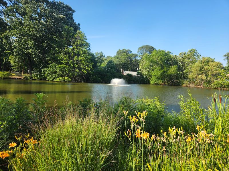 Quiet Corners, Ponds, and a Tiny Bridge