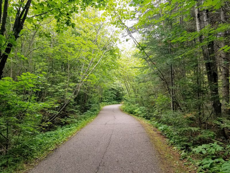 Quiet Trails, No Crowds Quiet Trails, No Crowds