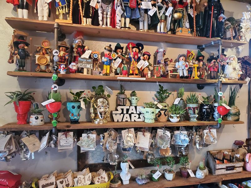 Quirky Pop Culture Finds