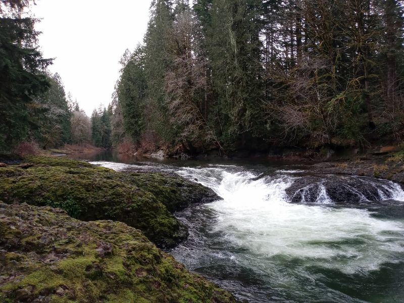 Rainbow Falls State Park, Chehalis, WA