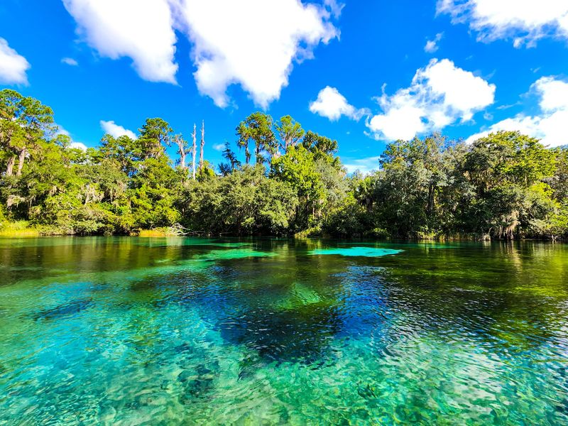 Rainbow Springs State Park, Dunnellon