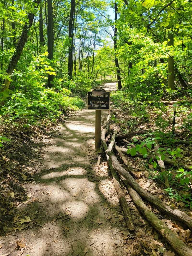 Reading The Trails Without A Map