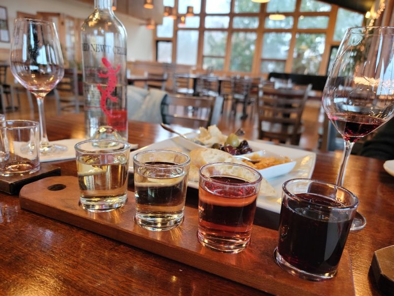 Red Newt Cellars, Hector, NY