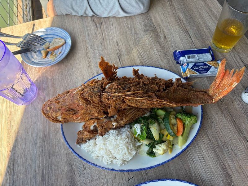 Red Snapper Straight Off The Dock
