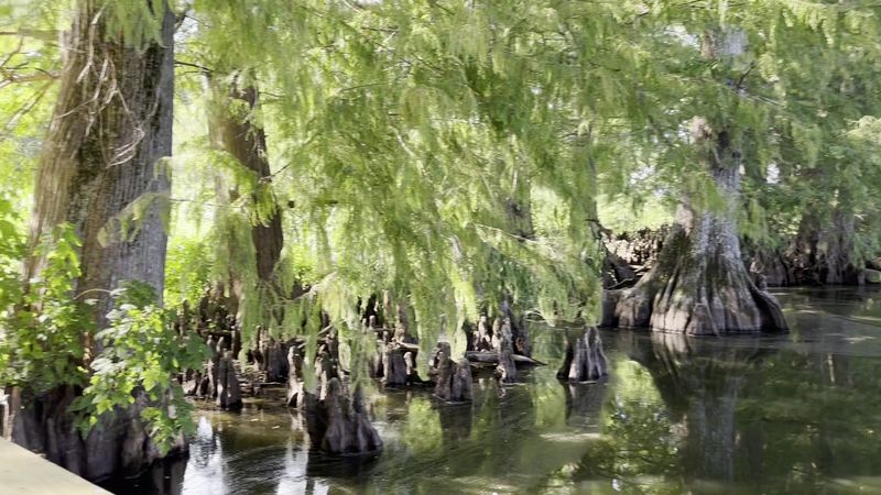 Reelfoot Lake State Park, Tiptonville Reelfoot Lake State Park, Tiptonville