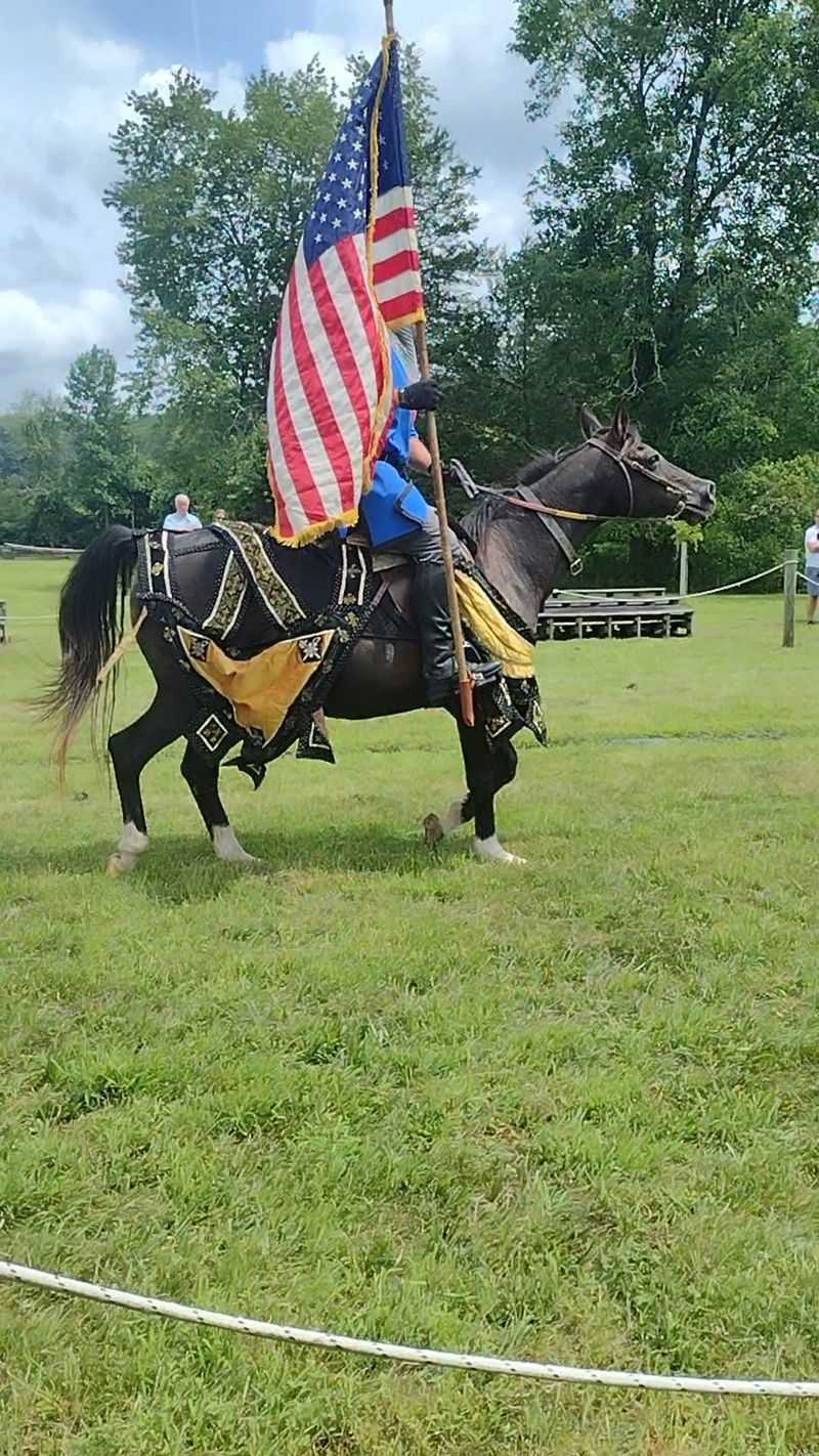 Reenactments and Jousting Fields Reenactments and Jousting Fields