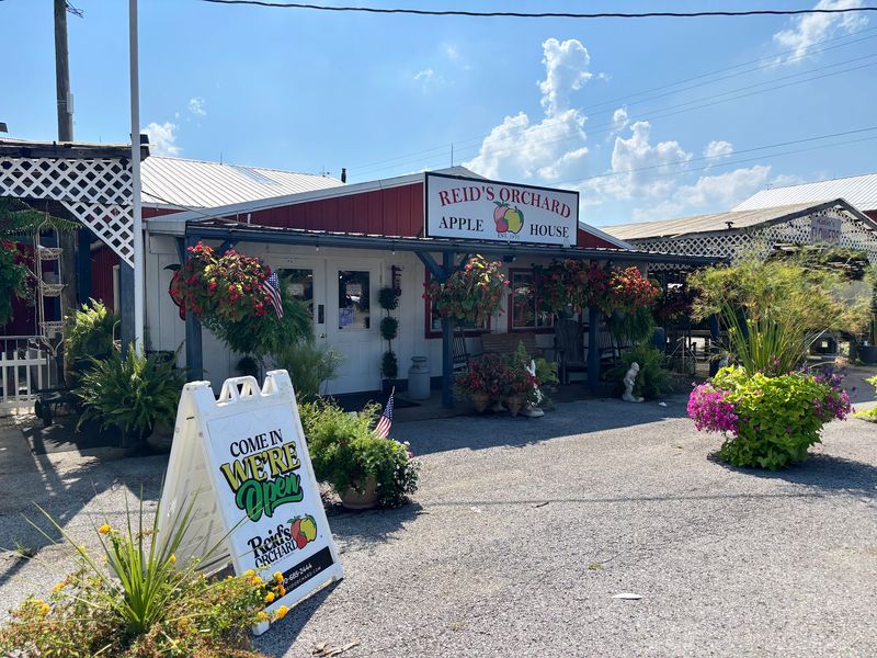 Reid's Orchard and Winery Bakery, Gapland Area