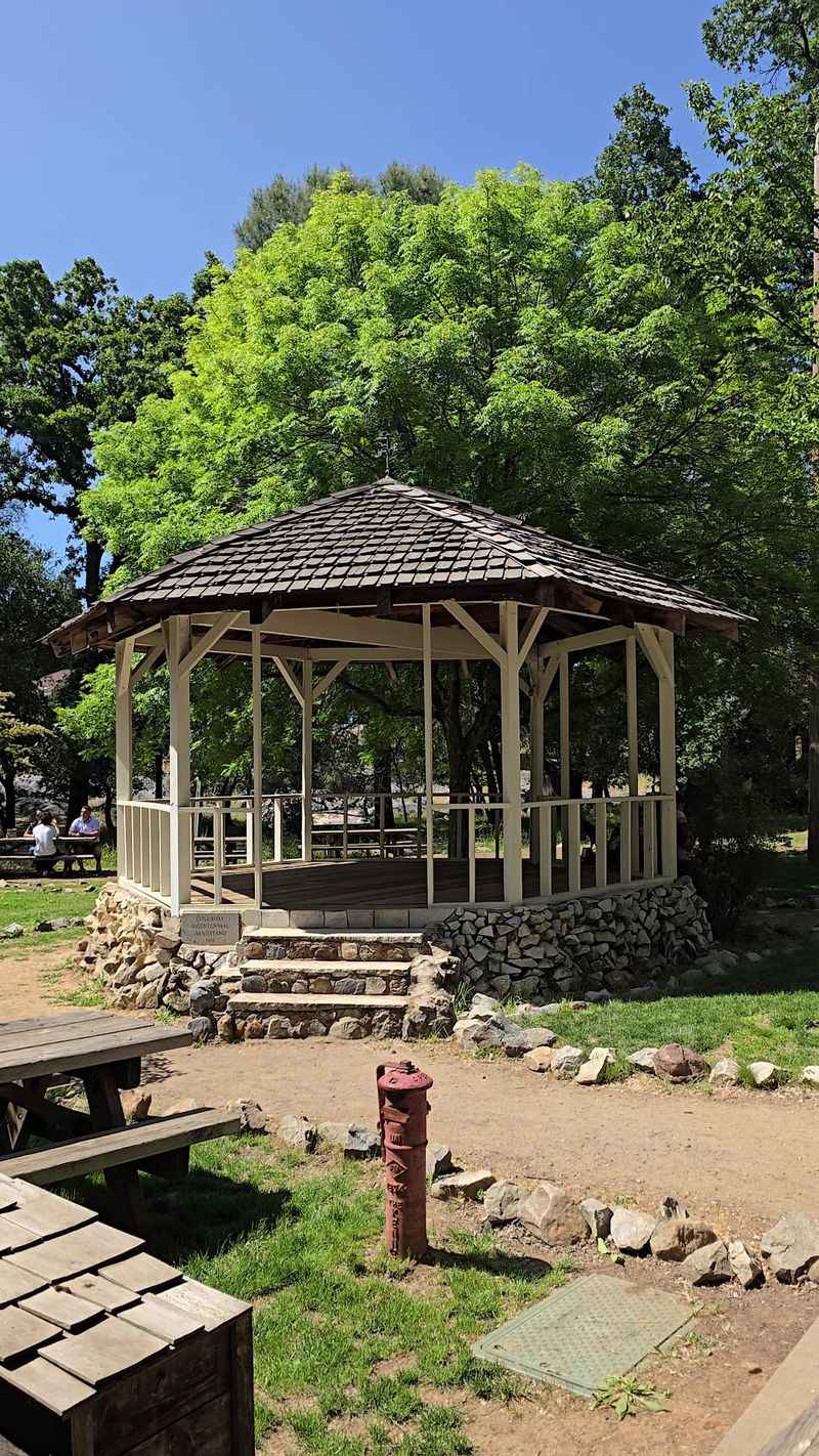 Relaxing Under the Trees and Soaking It All In