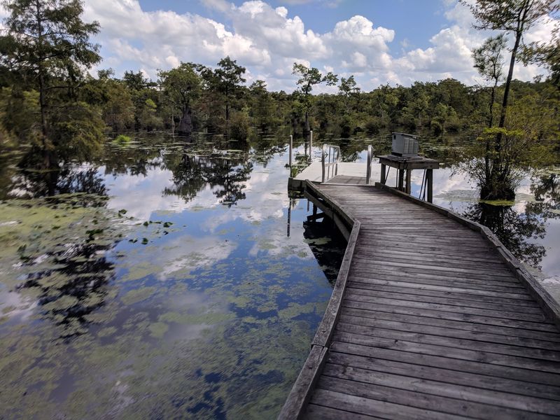 Renting A Canoe On Site