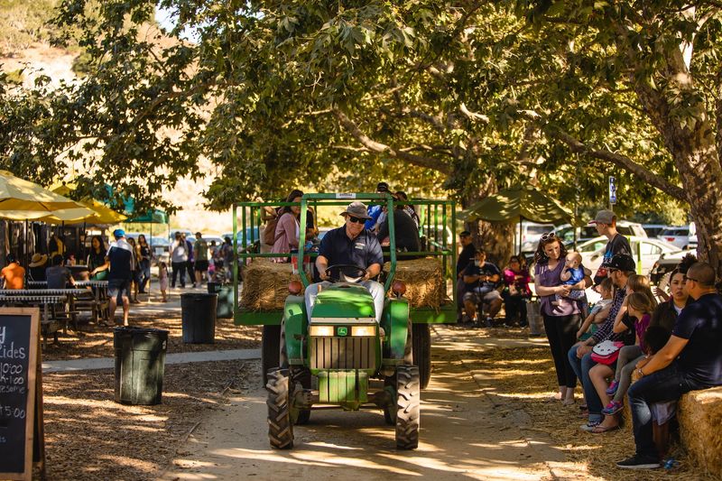 Rides, Mazes, and Hands-On Fun for Kids