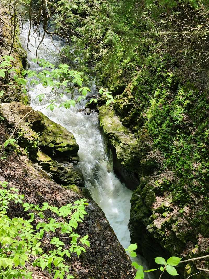 Rim Trail, Clifton Gorge State Nature Preserve, Yellow Springs Rim Trail, Clifton Gorge State Nature Preserve, Yellow Springs