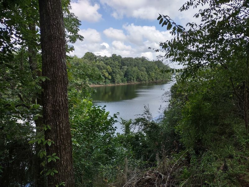River Views Around Every Bend